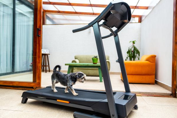 Treadmill Installation in Littleton