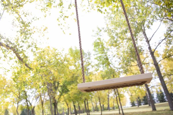 Tree Swing Installation in Littleton