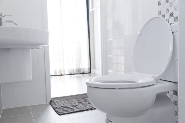 Toilet Seat Installation in Littleton