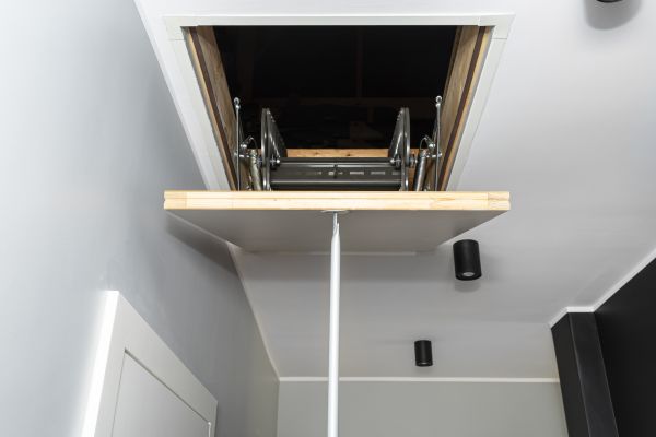 Attic Door Repair in Littleton