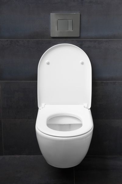 Toilet Lid Installation in Littleton