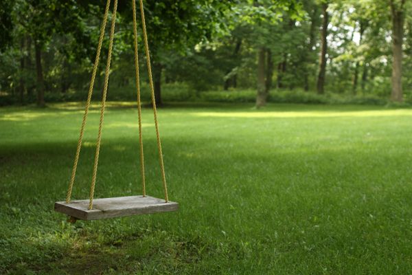 Rope Swing Installation in Littleton