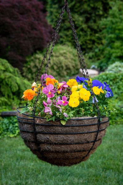 Hanging Basket Installation in Littleton