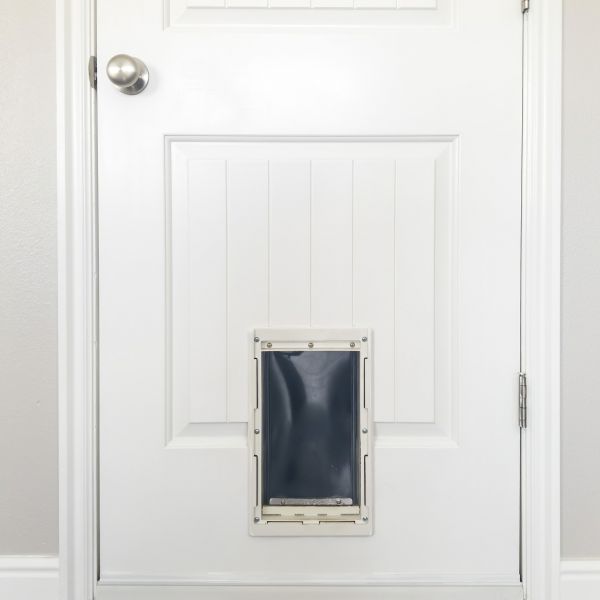 Pet Door Repair in Littleton