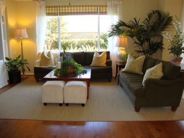 Valance Rod Installation in Littleton