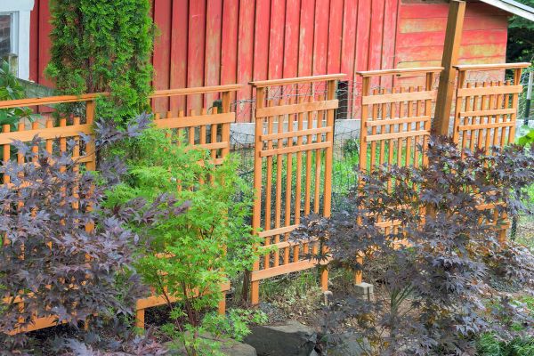 Wood Trellis Mounting in Littleton