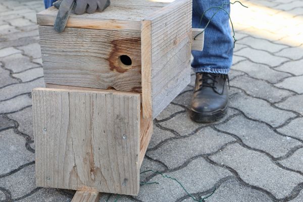 Birdhouse Mounting in Littleton
