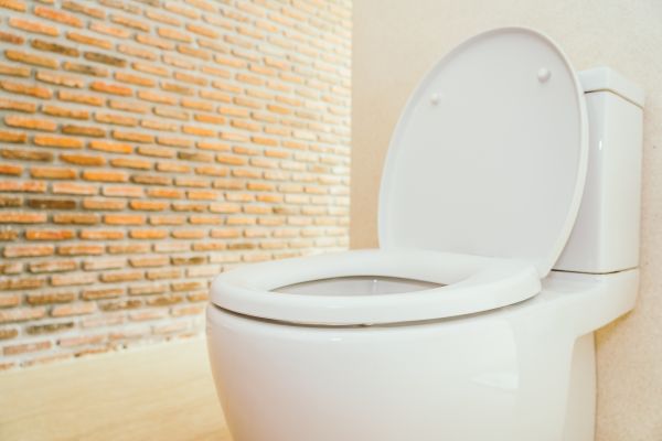 Toilet Seat Repair in Littleton